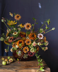 Sommerrudbeckia frø