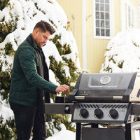 Napoleon Freestyle 365