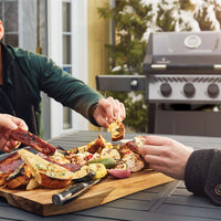 Napoleon Freestyle 365