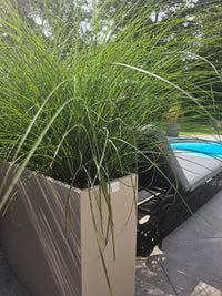 ROS udendørs krukke