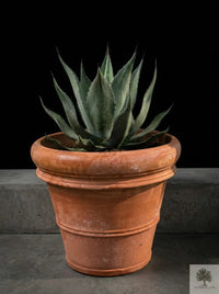 Kruka Terrakotta - Siena -  40 cm diameter - 35 cm höjd